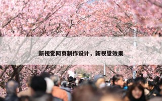 新视觉网页制作设计，新视觉效果