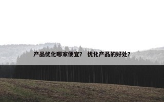 产品优化哪家便宜？ 优化产品的好处？