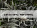 创建网页设计制作手工，用网页设计制作网站