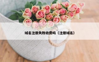 域名注册失败收费吗（注册域名）