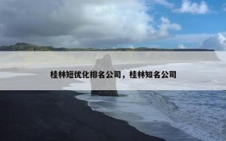 桂林短优化排名公司，桂林知名公司