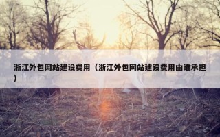 浙江外包网站建设费用（浙江外包网站建设费用由谁承担）