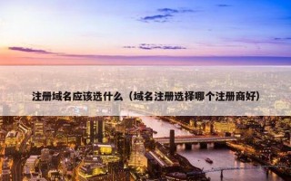 注册域名应该选什么（域名注册选择哪个注册商好）