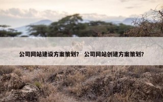 公司网站建设方案策划？ 公司网站创建方案策划？