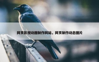 网页影视动图制作网站，网页制作动态图片