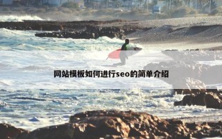 网站模板如何进行seo的简单介绍