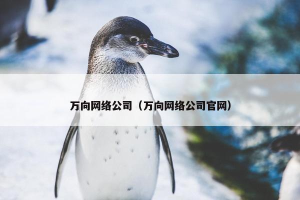 万向网络公司（万向网络公司官网）-第1张图片-冷动云