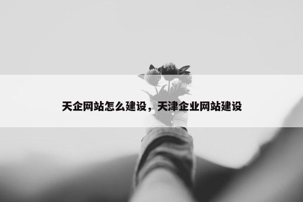 天企网站怎么建设，天津企业网站建设-第1张图片-冷动云