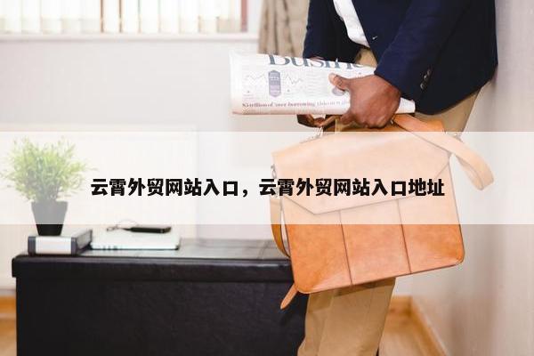 云霄外贸网站入口，云霄外贸网站入口地址-第1张图片-冷动云