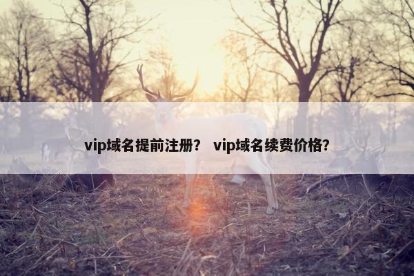 vip域名提前注册？ vip域名续费价格？-第1张图片-冷动云