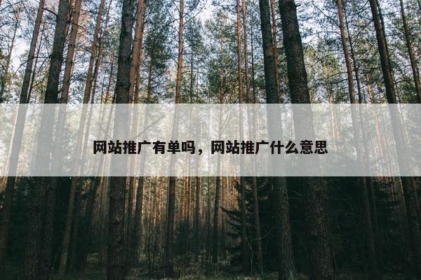 网站推广有单吗，网站推广什么意思-第1张图片-冷动云