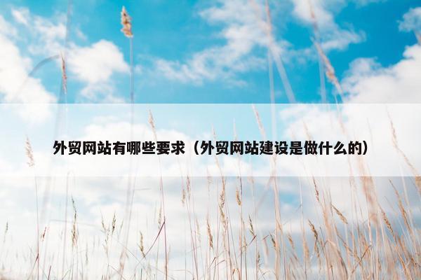 外贸网站有哪些要求（外贸网站建设是做什么的）-第1张图片-冷动云