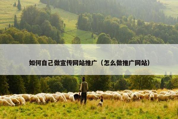 如何自己做宣传网站推广（怎么做推广网站）-第1张图片-冷动云