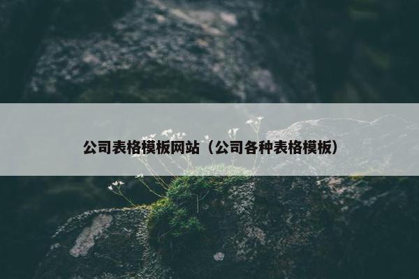 公司表格模板网站（公司各种表格模板）-第1张图片-冷动云