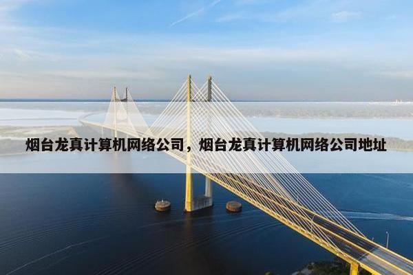 烟台龙真计算机网络公司，烟台龙真计算机网络公司地址-第1张图片-冷动云