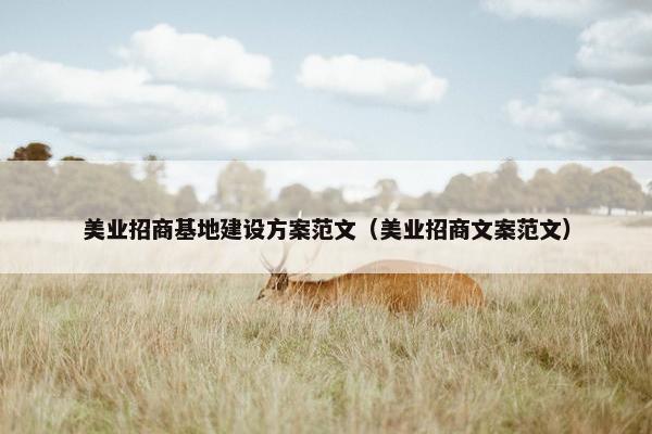 美业招商基地建设方案范文（美业招商文案范文）-第1张图片-冷动云