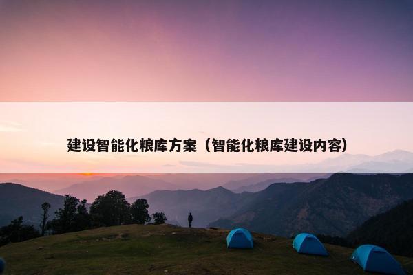 建设智能化粮库方案（智能化粮库建设内容）-第1张图片-冷动云
