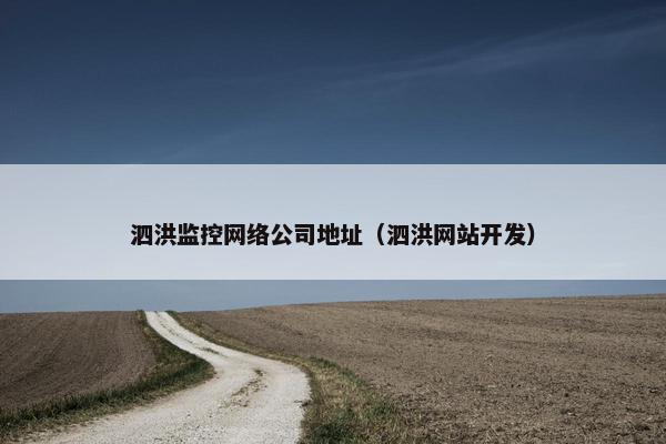 泗洪监控网络公司地址（泗洪网站开发）-第1张图片-冷动云