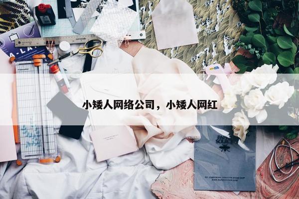 小矮人网络公司，小矮人网红-第1张图片-冷动云