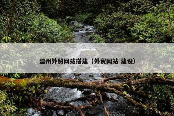 温州外贸网站搭建（外贸网站 建设）-第1张图片-冷动云