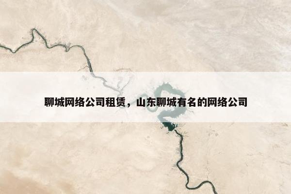 聊城网络公司租赁，山东聊城有名的网络公司-第1张图片-冷动云