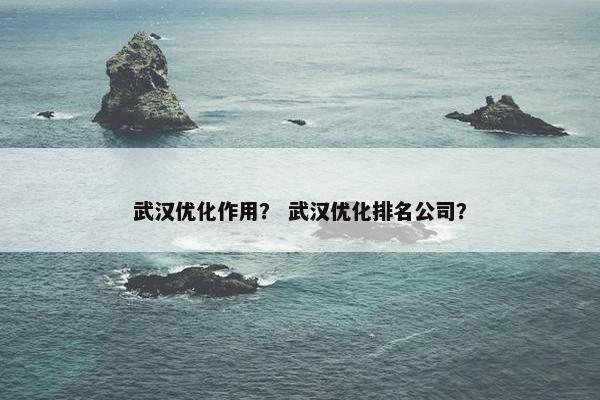 武汉优化作用？ 武汉优化排名公司？-第1张图片-冷动云