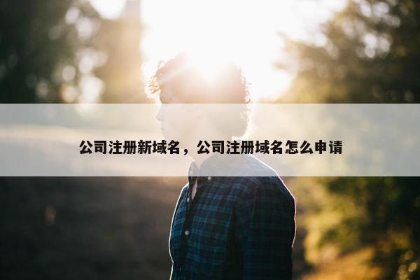 公司注册新域名，公司注册域名怎么申请-第1张图片-冷动云