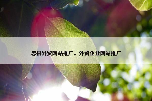 忠县外贸网站推广，外贸企业网站推广-第1张图片-冷动云