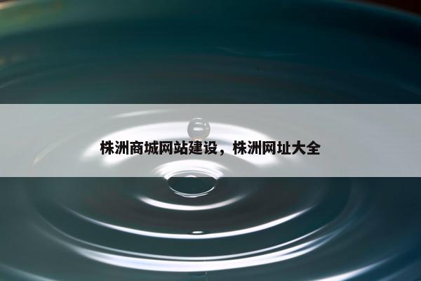 株洲商城网站建设，株洲网址大全-第1张图片-冷动云