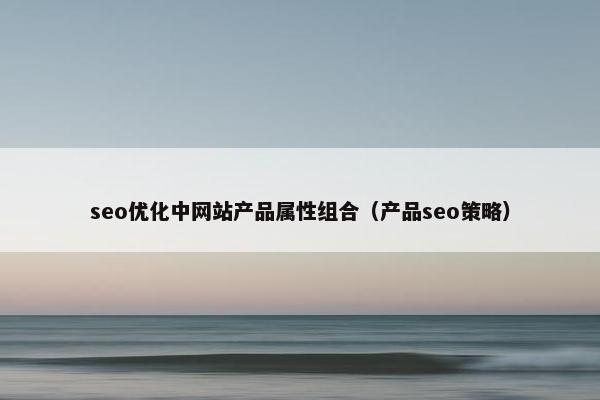 seo优化中网站产品属性组合（产品seo策略）-第1张图片-冷动云