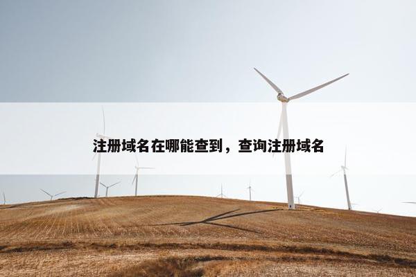注册域名在哪能查到，查询注册域名-第1张图片-冷动云