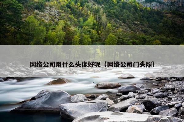 网络公司用什么头像好呢（网络公司门头照）-第1张图片-冷动云