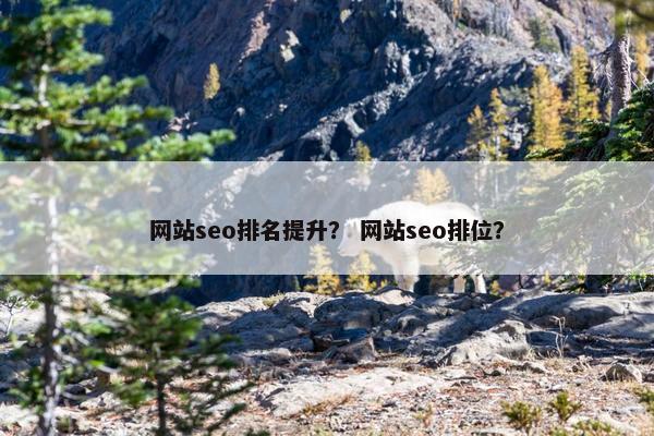 网站seo排名提升？ 网站seo排位？-第1张图片-冷动云