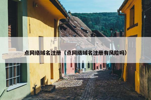 点网络域名注册（点网络域名注册有风险吗）-第1张图片-冷动云