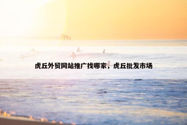 虎丘外贸网站推广找哪家，虎丘批发市场-第1张图片-冷动云