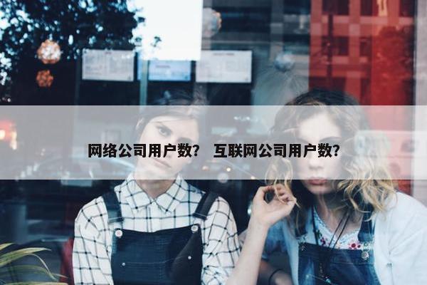 网络公司用户数？ 互联网公司用户数？-第1张图片-冷动云