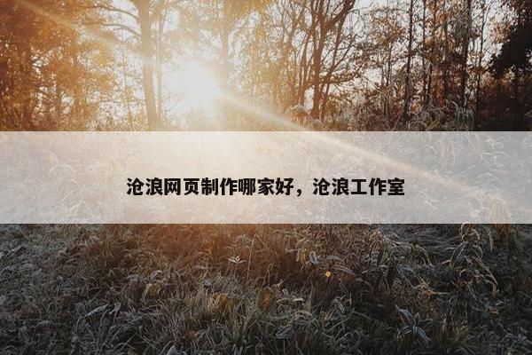 沧浪网页制作哪家好，沧浪工作室-第1张图片-冷动云