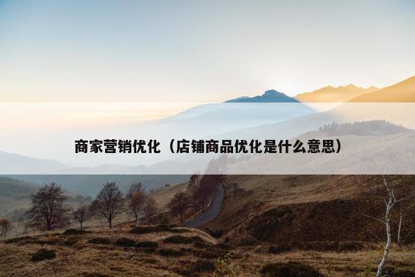 商家营销优化（店铺商品优化是什么意思）-第1张图片-冷动云
