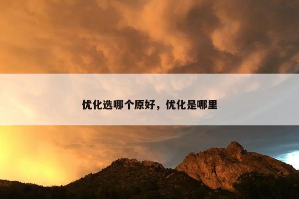 优化选哪个原好，优化是哪里-第1张图片-冷动云