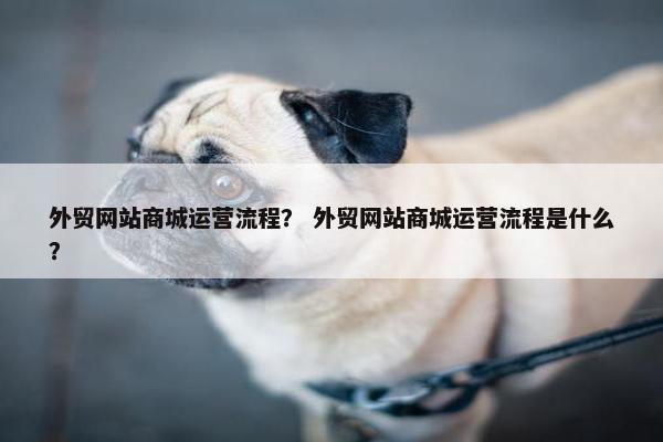 外贸网站商城运营流程？ 外贸网站商城运营流程是什么？-第1张图片-冷动云