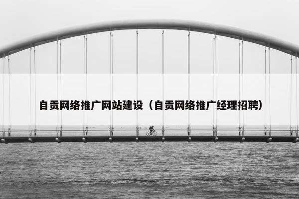 自贡网络推广网站建设（自贡网络推广经理招聘）-第1张图片-冷动云