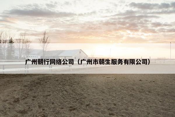 广州朝行网络公司（广州市朝生服务有限公司）-第1张图片-冷动云