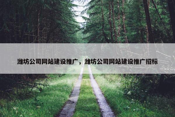 潍坊公司网站建设推广，潍坊公司网站建设推广招标-第1张图片-冷动云