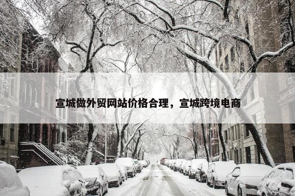 宣城做外贸网站价格合理，宣城跨境电商-第1张图片-冷动云