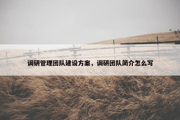 调研管理团队建设方案，调研团队简介怎么写-第1张图片-冷动云
