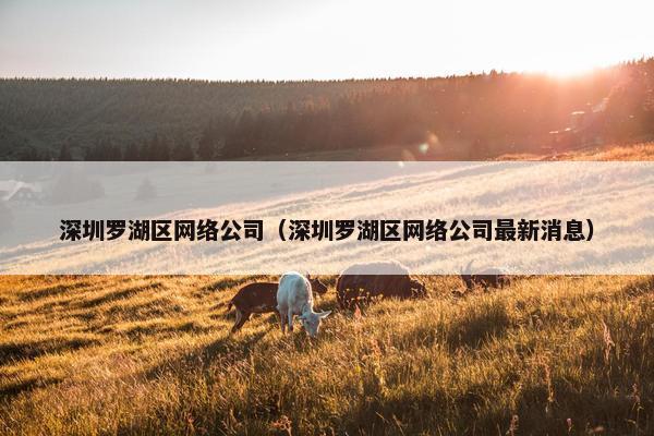 深圳罗湖区网络公司（深圳罗湖区网络公司最新消息）-第1张图片-冷动云