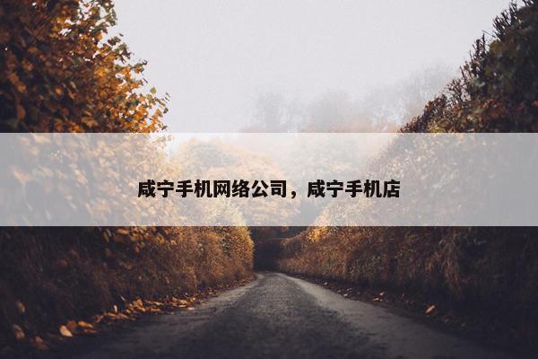 咸宁手机网络公司，咸宁手机店-第1张图片-冷动云