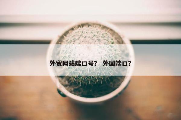 外贸网站端口号？ 外国端口？-第1张图片-冷动云