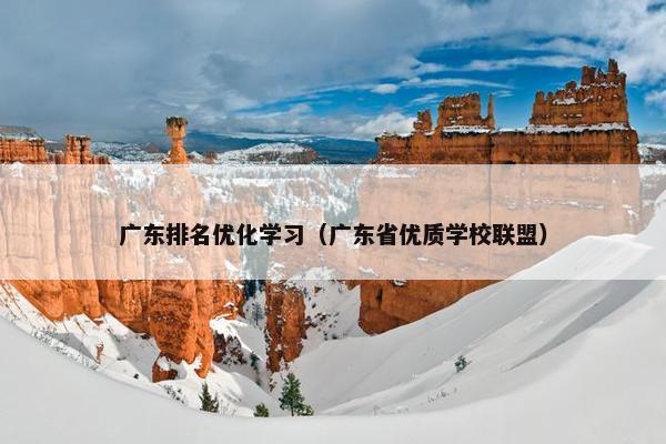 广东排名优化学习（广东省优质学校联盟）-第1张图片-冷动云