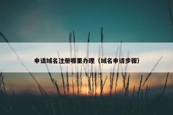 申请域名注册哪里办理（域名申请步骤）-第1张图片-冷动云